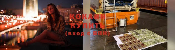 дживик Белокуриха