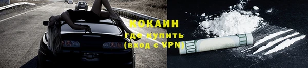дживик Белокуриха