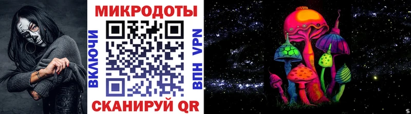 что такое   Городовиковск  Псилоцибиновые грибы прущие грибы 
